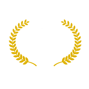 Giffi Winner Logo2
